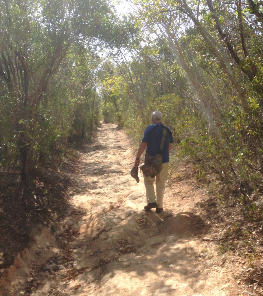 Guanica Dry forest trail