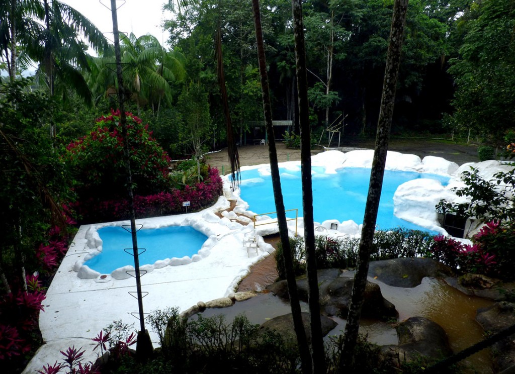 Orquideas pool